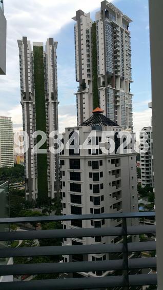 368 Thomson (D11), Condominium #73106682
